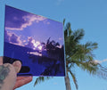 Purple chrome automotive window tint sample with a highly reflective mirror-like finish, held outdoors against a bright blue sky with palm trees reflected across the surface. Purple chrome tint showcasing its vibrant colour, reflective appearance, and distinctive custom vehicle styling potential.