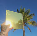 Gold chrome automotive window tint sample with a highly reflective mirror-like finish, held outdoors against a bright blue sky with palm trees reflected across the surface. Gold chrome tint showcasing its vibrant colour, reflective appearance, and custom vehicle styling potential.
